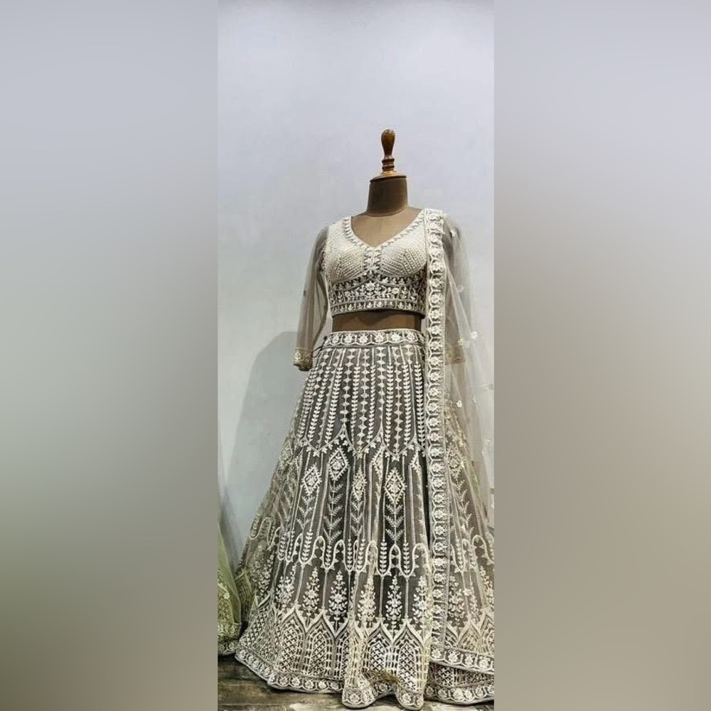 Beautiful net lehenga with all over embroidery and sequin work.